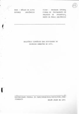 CODI-UNIPER_m0593p01- Relatório Sintético das Atividades do Primeiro Semestre do FIPAM, 1973